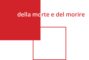 2018 dmedm it