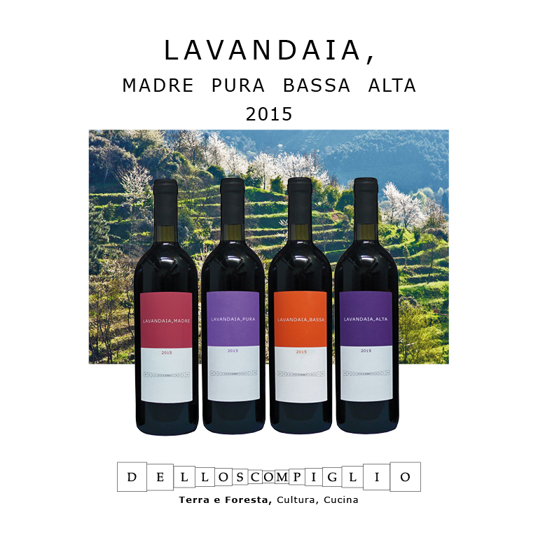 2018 INVITO Lavandaia 01
