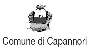 Comune di Capannori 01