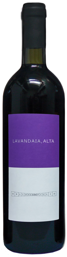 2020 Alta 01