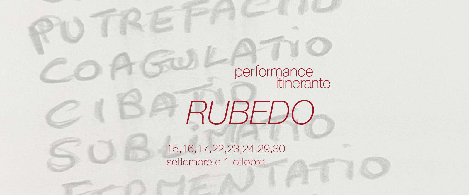 2023 1200x500 Rubedo performance 09 2023 01