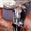 Avelino Sala - Riderless Horse 2.jpg