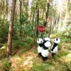 CaRma - Epica POP panda_con_stop_1.jpg